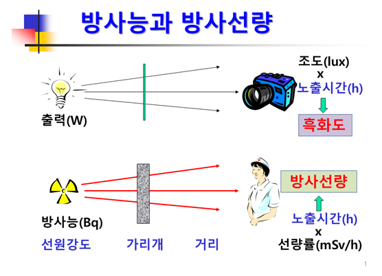 방사선 전공